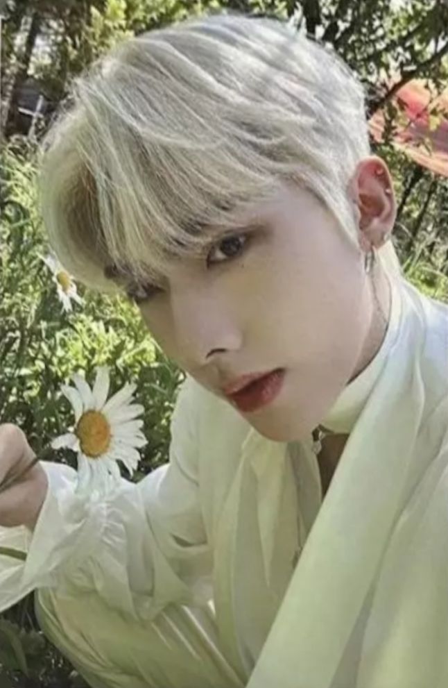 Tower Records 1.0 Preorder A