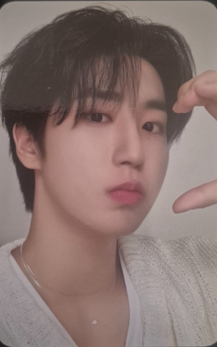 2024 Season's Greetings - Perfect Day with SKZ Selfie Photocard Set