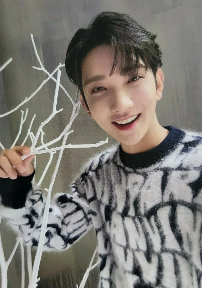 Joshua SEVENTEEN photocard from Christmas Card