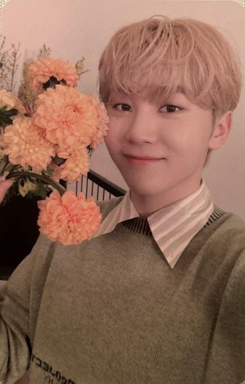 Photocards