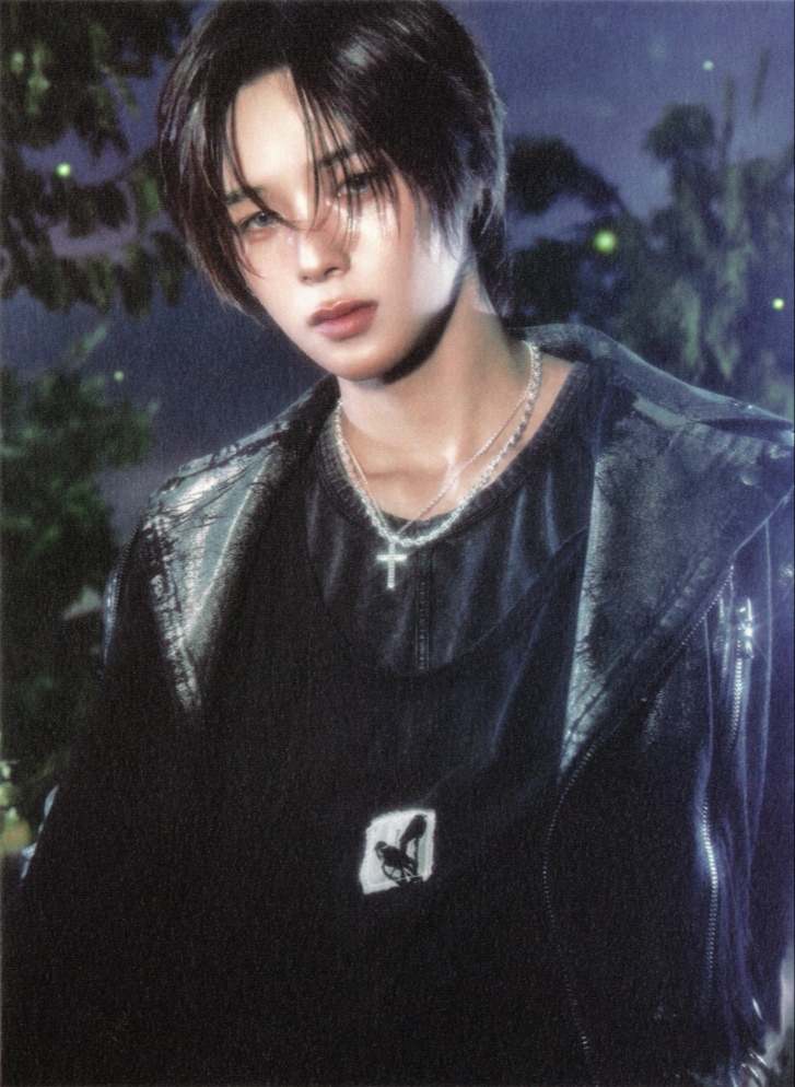Postcard Set