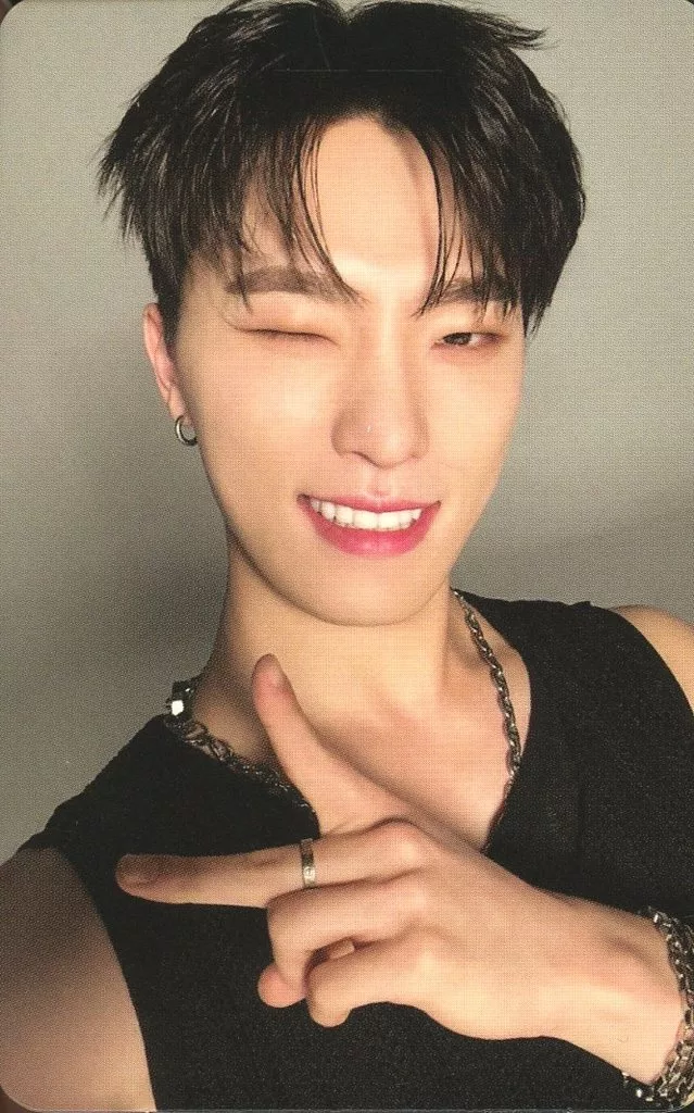 Dino SEVENTEEN photocard - SPILL THE FEELS Photocard