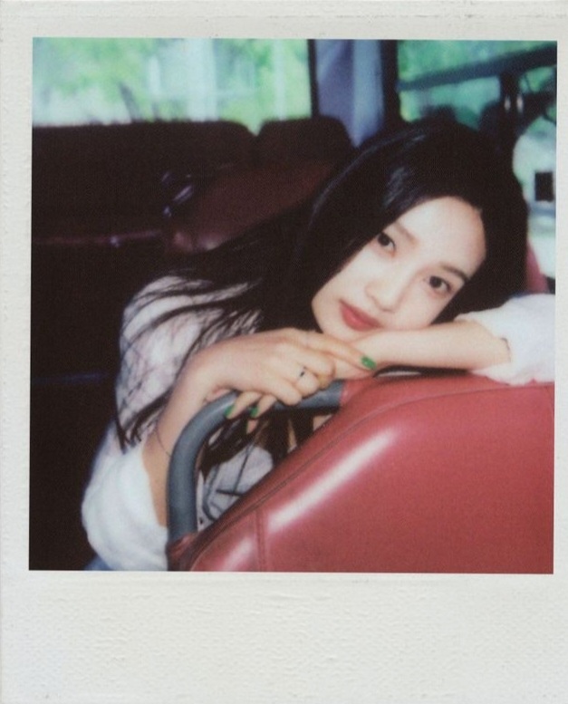 Polaroid