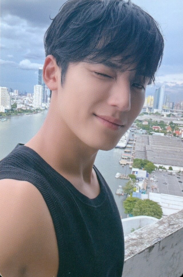 Mingyu SEVENTEEN photocard from Photocard