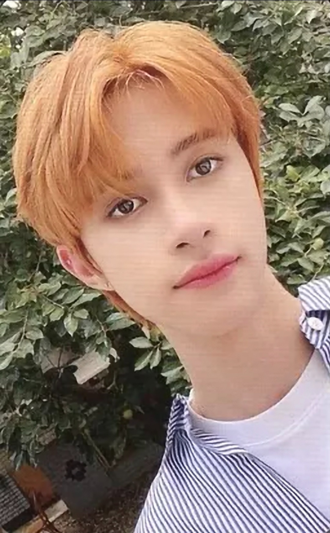 Photocard