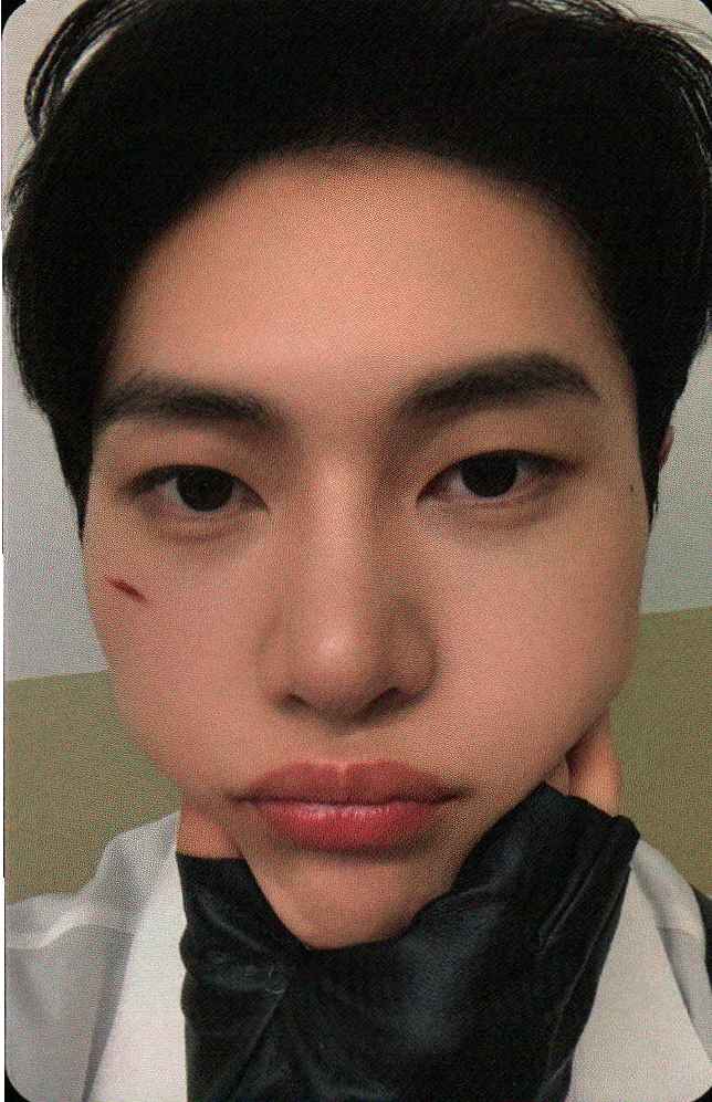 2026 Season's Greetings Apple Music Preorder