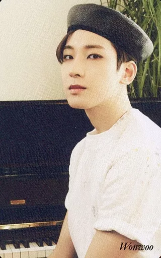 Wonwoo SEVENTEEN photocard - Your Choice Preorder Benefit