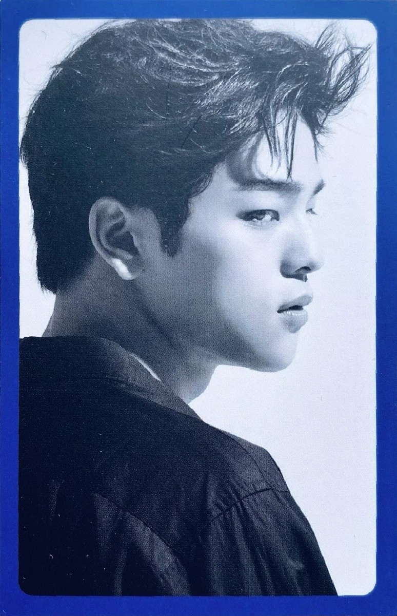 Woojin Stray Kids photocard from Preorder Only