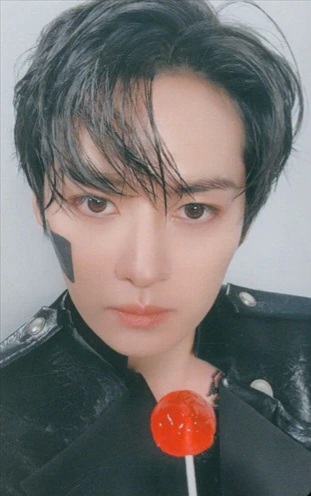 Lee Know Stray Kids photocard - GIANT 11/16 - Tokyo Dome