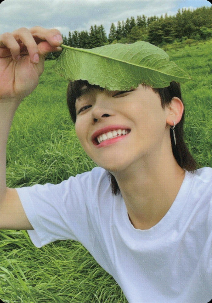 &Audition - The Howling Photocards