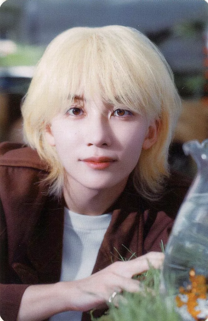 Jeonghan SEVENTEEN photocard from Photocard B