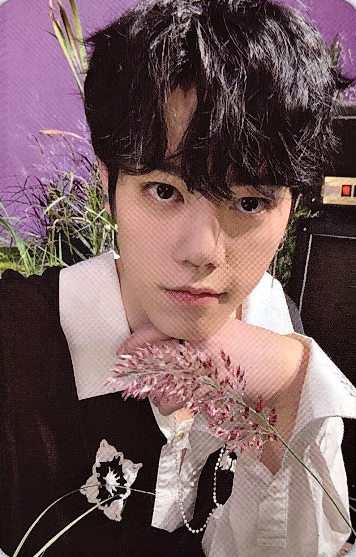 Chahun
