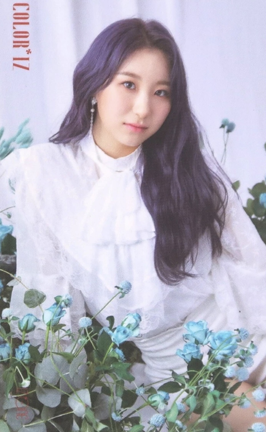 Rose Version Photocard