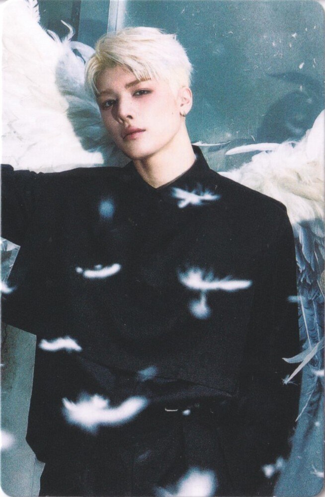 Official MD Pop-Up Photocard Set B