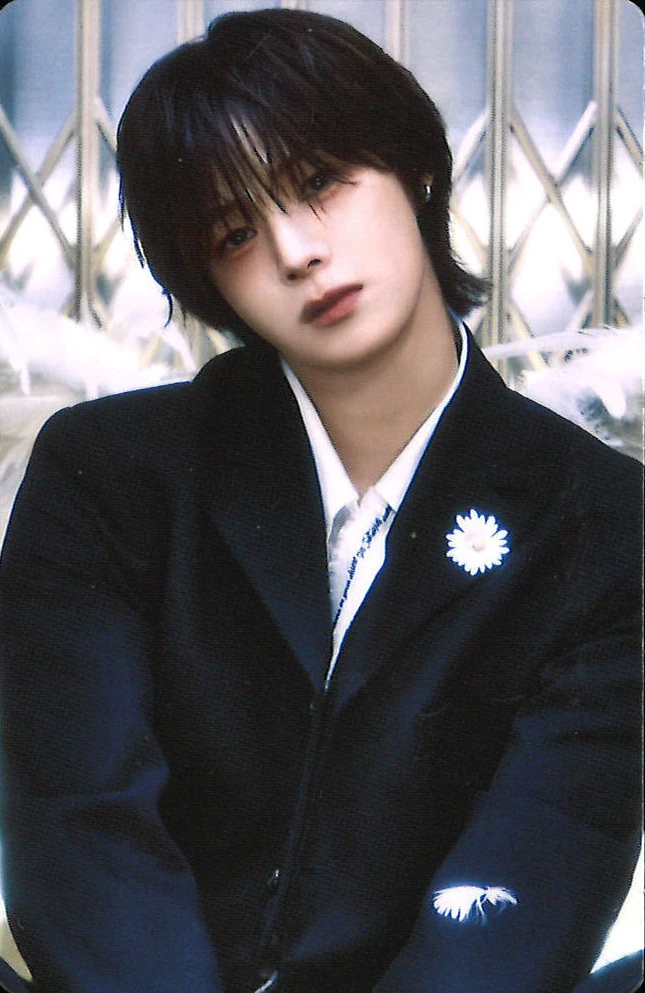 Official MD Pop-Up Photocard Set B