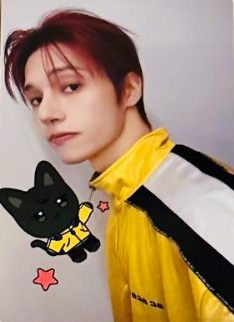 Wooyoung ATEEZ photocard Random Trading Card