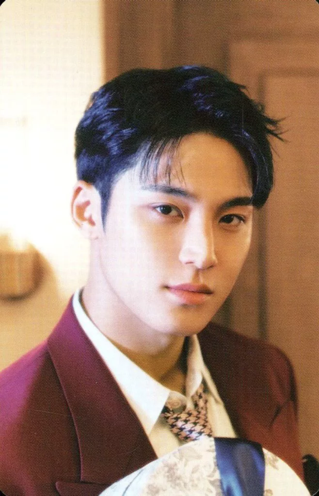 Mingyu SEVENTEEN photocard - SPILL THE FEELS Booklet (Random Member set)