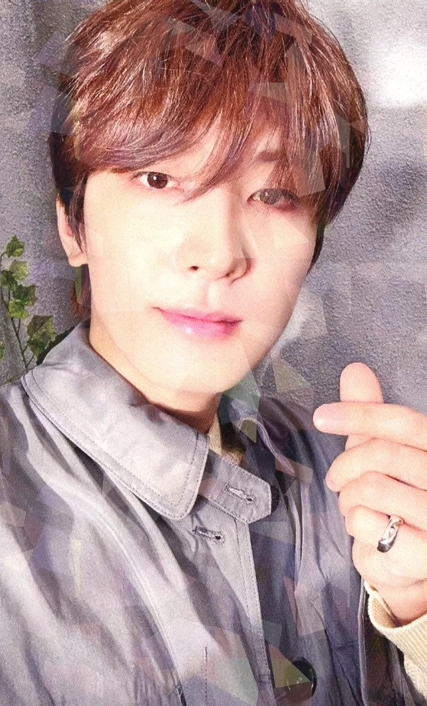 Wonwoo SEVENTEEN photocard from Preorder