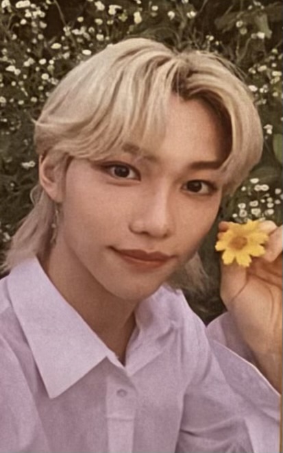 Felix Stray Kids photocard from Limited ver. Set