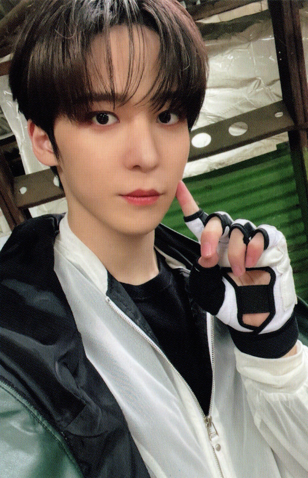 Official MD Pop-Up Limited Photocard Set