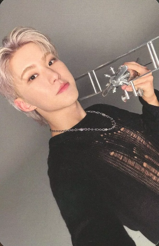 Hoshi SEVENTEEN photocard - SPILL THE FEELS Photocard
