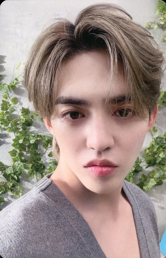 S.coups SEVENTEEN photocard from Preorder