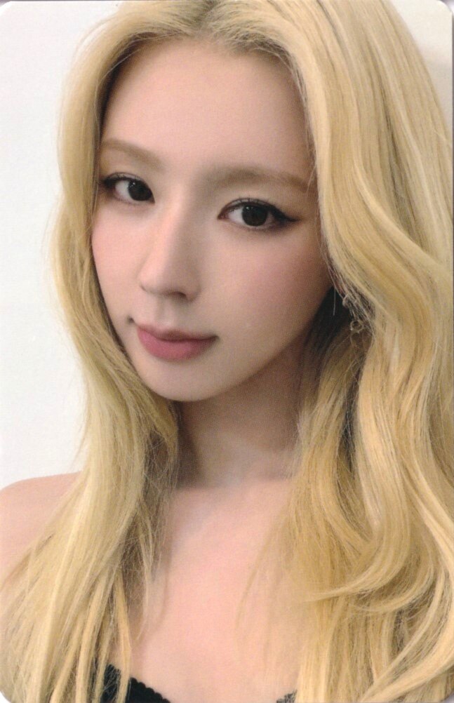 2026 Syncopation in YOKOHAMA Random Photocard Set
