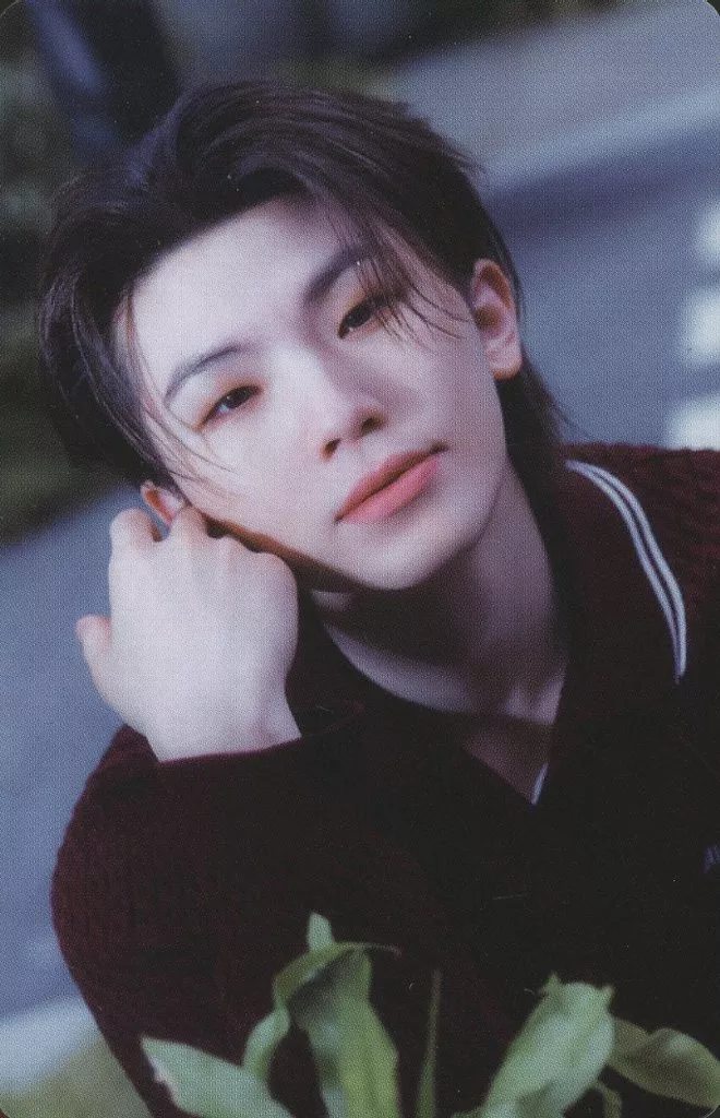 Woozi SEVENTEEN photocard - 消費期限 Photocard B