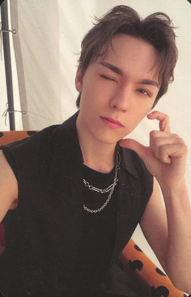 Vernon SEVENTEEN photocard - SPILL THE FEELS Photocard