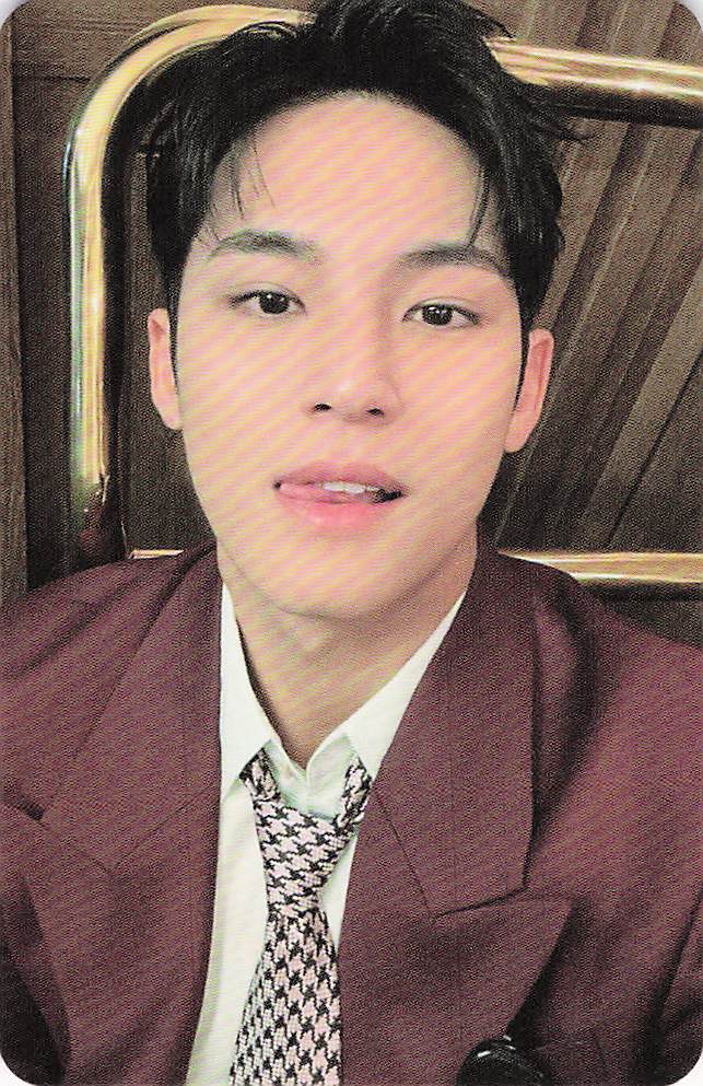 Mingyu SEVENTEEN photocard - SPILL THE FEELS Photocard