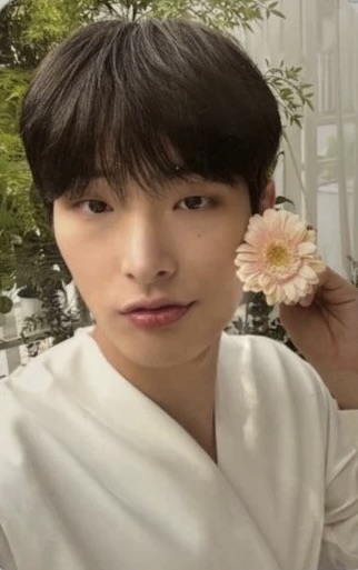 Mingi