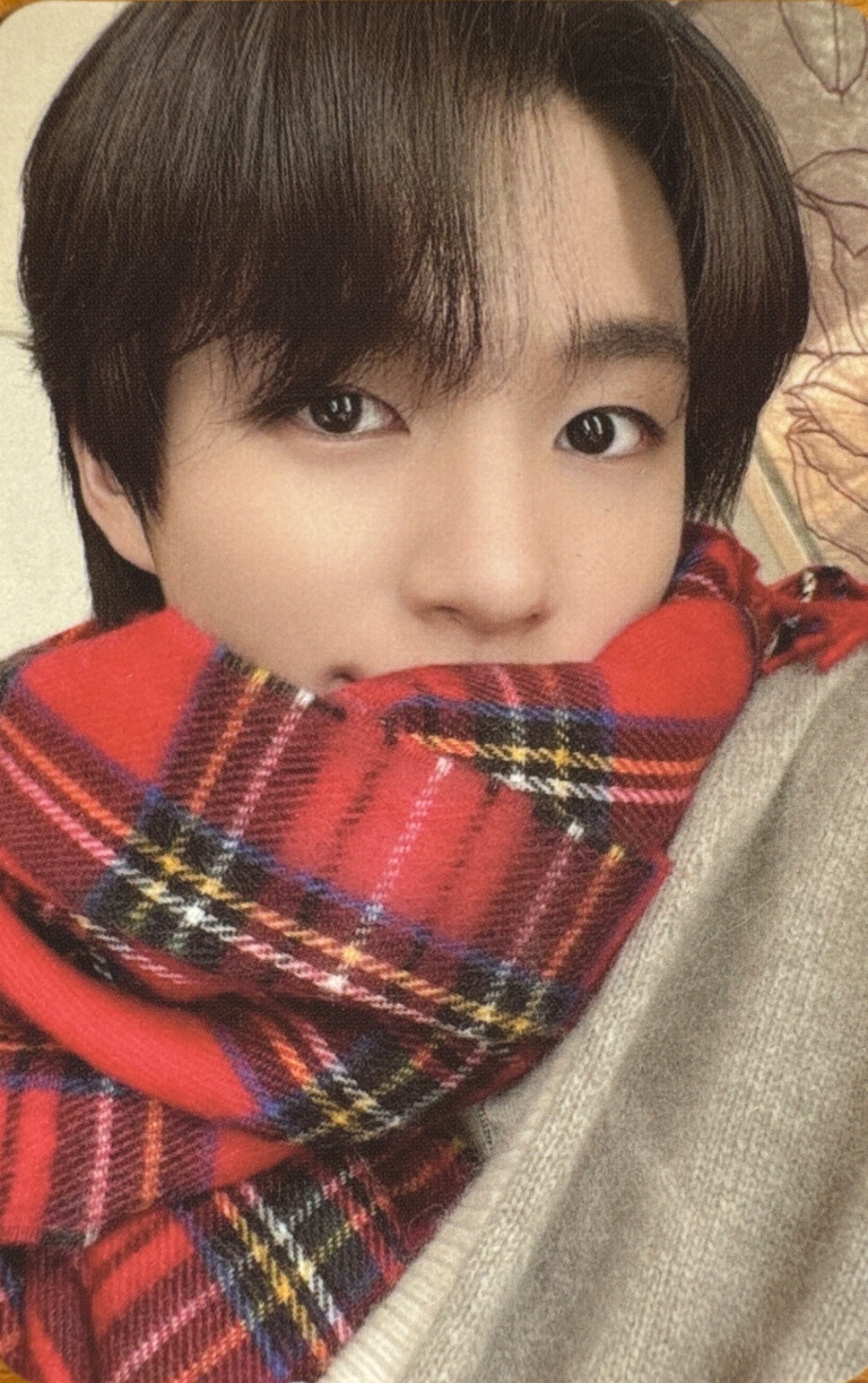 Jeno NCT DREAM photocard from Random Cards Pack