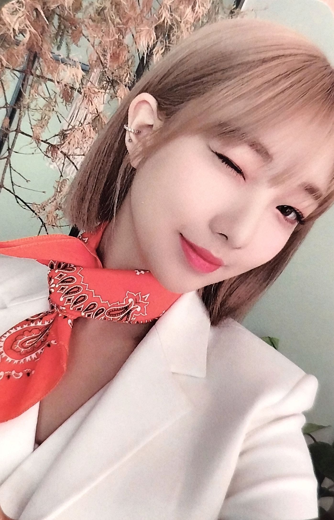 Yeojin LOONA photocard Photocard Set