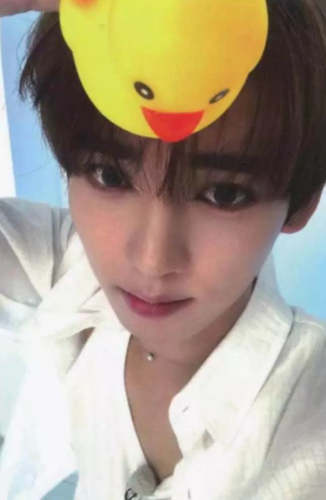 Soundwave 1.0 Preorder