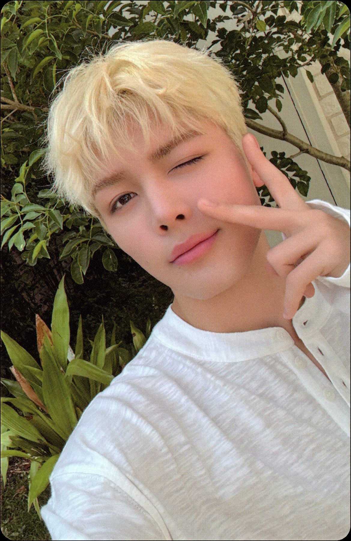 2026 Season's Greetings Photocards