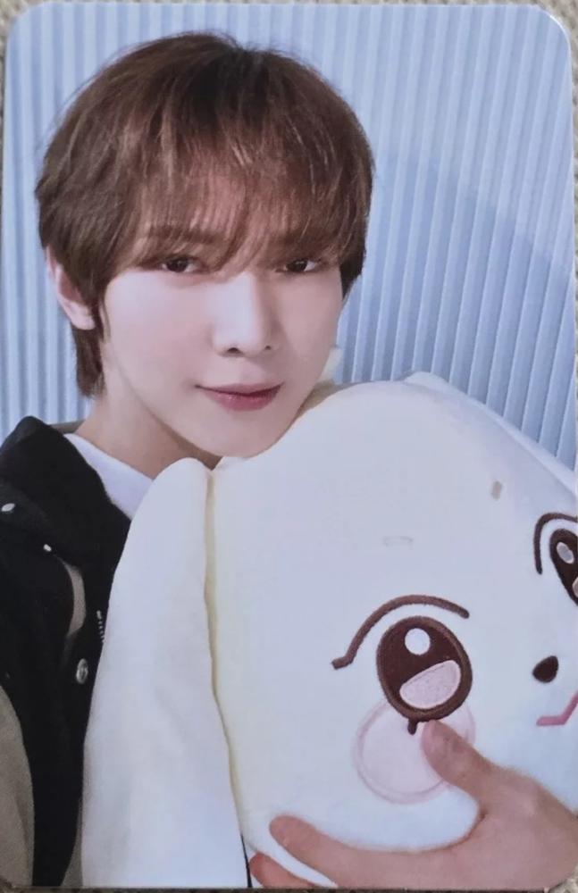 ANITEEZ in ICE CITY Plush Cushion