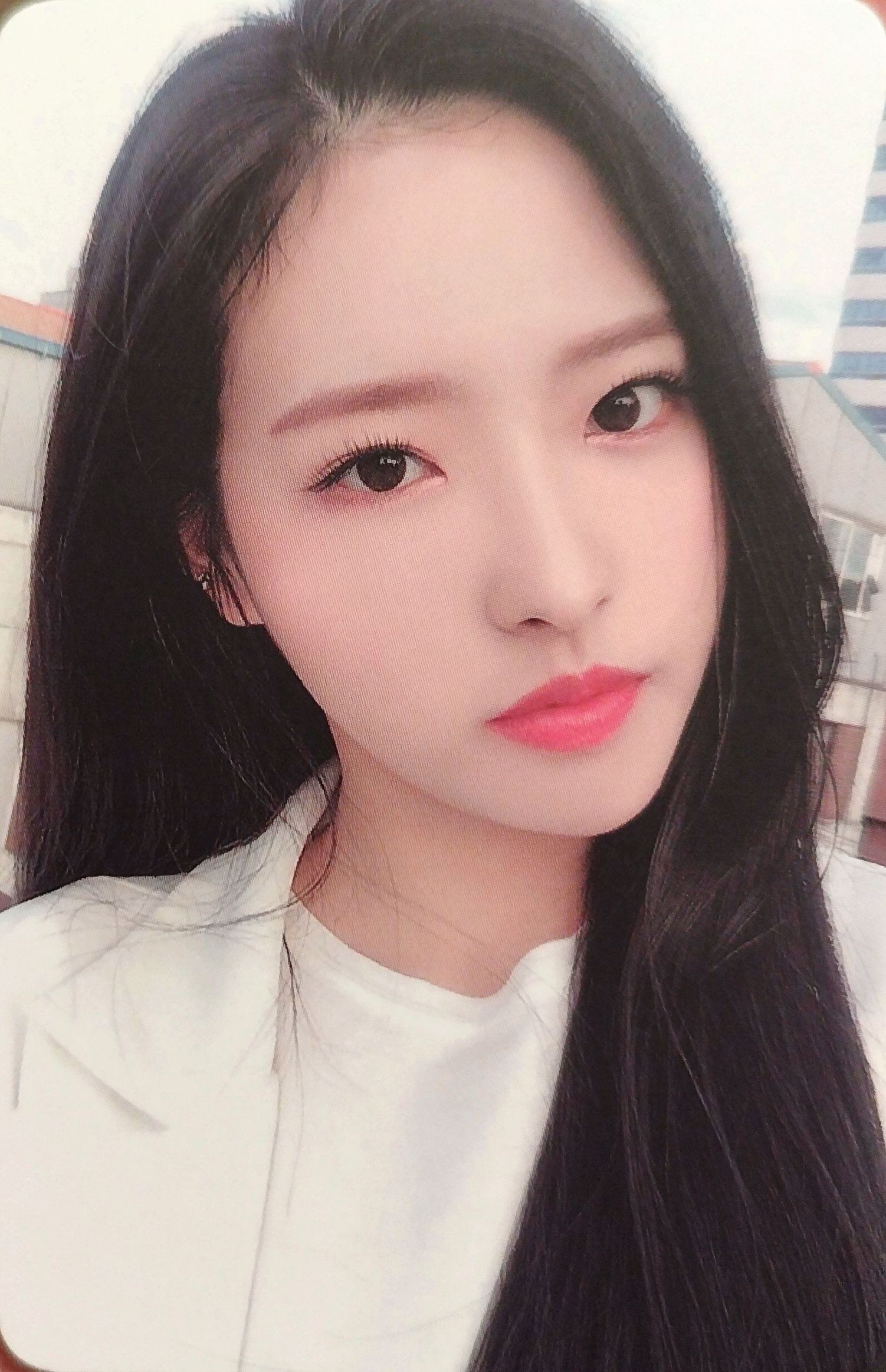 Hyeju LOONA photocard Photocard Set